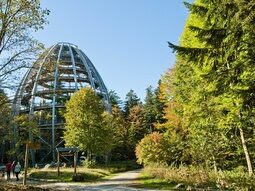 Baumwipfelpfad im Bayerischen Wald