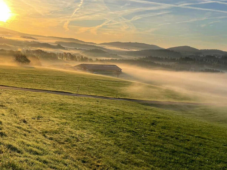 Dekoration im Waidlerland